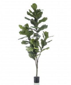 Emerald umjetni lirasti fikus 160 cm